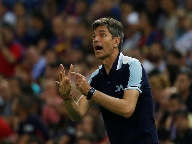 Pellegrino looks set to be appointed at Southampton